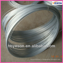 BWG22 500G Electric Galvanized Binding wire factory